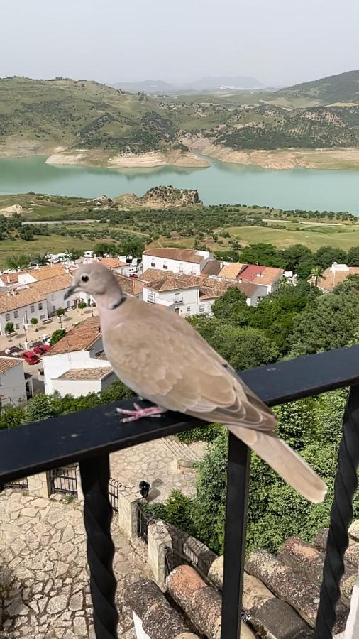 El Oasis Villa Algodonales Esterno foto